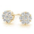 EARRINGS CLUSTER