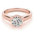 ENGAGEMENT RINGS TRELLIS