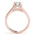 ENGAGEMENT RINGS TRELLIS